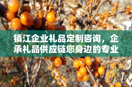 镇江企业礼品定制咨询，企承礼品供应链您身边的专业礼品定制公司