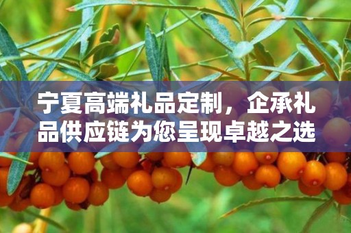 宁夏高端礼品定制，企承礼品供应链为您呈现卓越之选